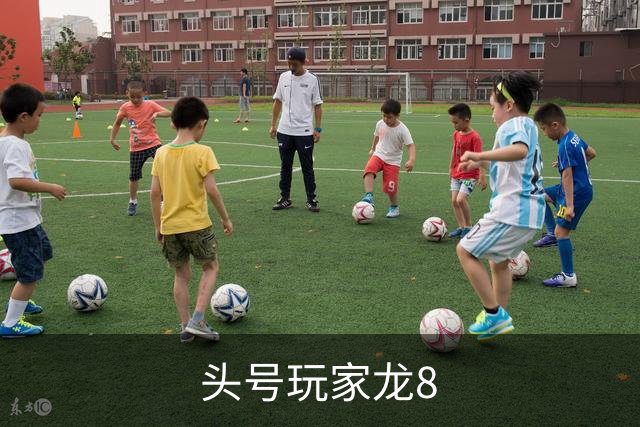 头号玩家龙8